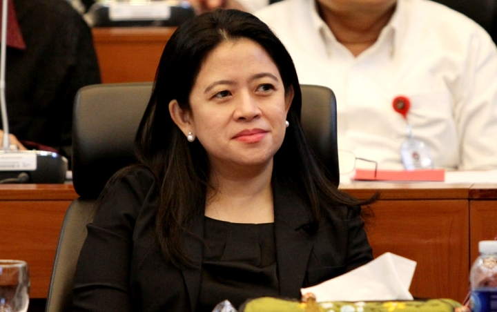 Ketua DPR RI Puan Maharani (Wowkeren)