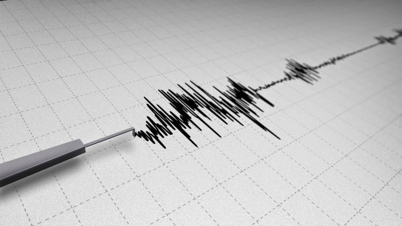 Ilustrasi gempa (faktualnews.co)