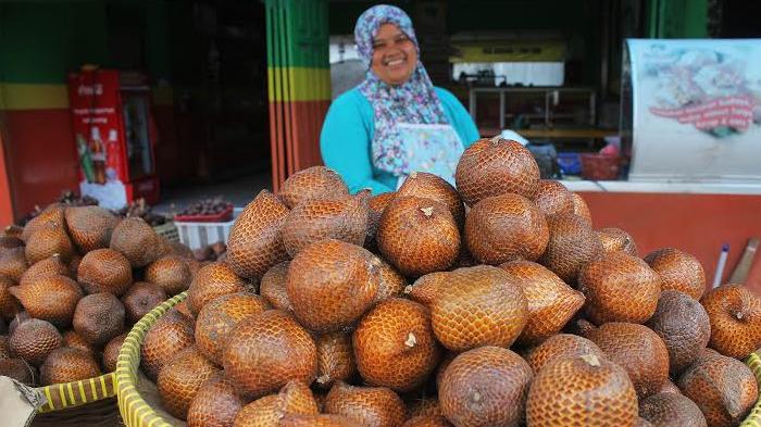 Penjual Salak Madu (Foto: Hamim Thohari/Tribun Jogja)