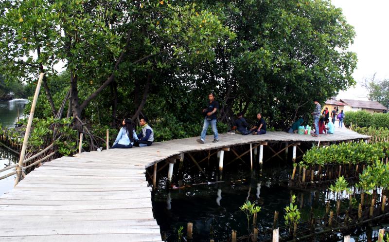 Wisata Mangrove Tarumajaya Wisata Mangrove Tarumajaya