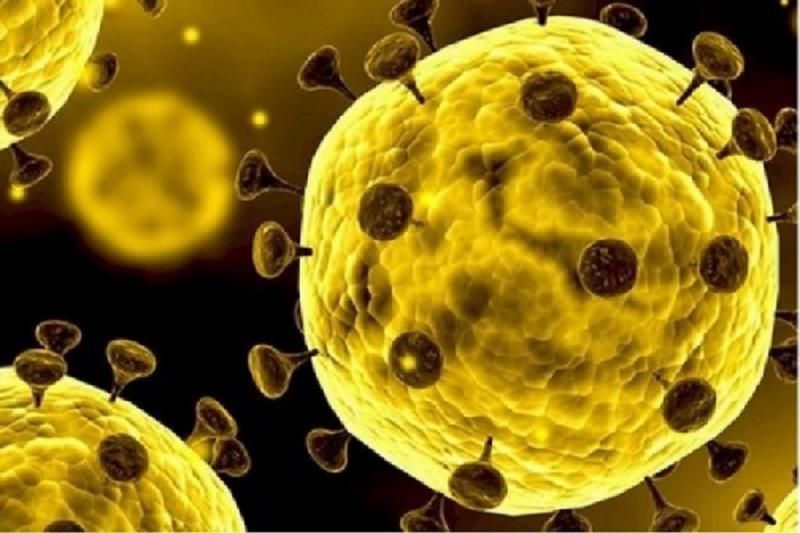 Ilustrasi Virus Corona. (minews.id)