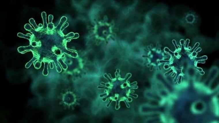 Ilustrasi Virus (titiknol)