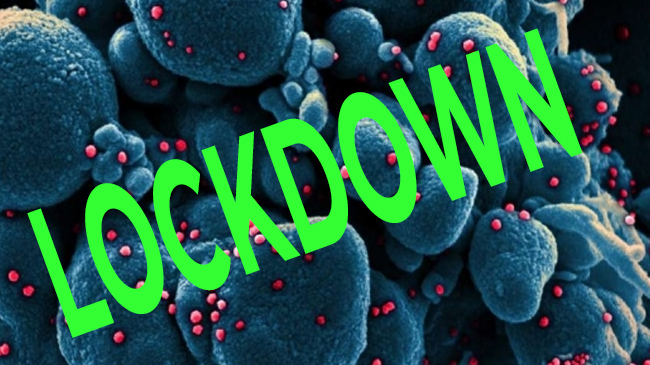 Ilustrasi Lockdown. (Indopolitika)
