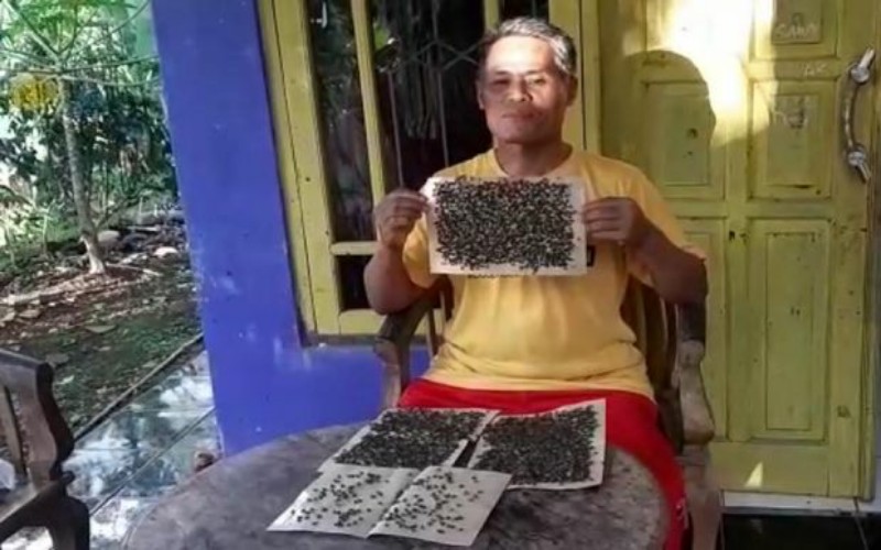 Ribuan Lalat Teror Warga Sukabumi. (detik)