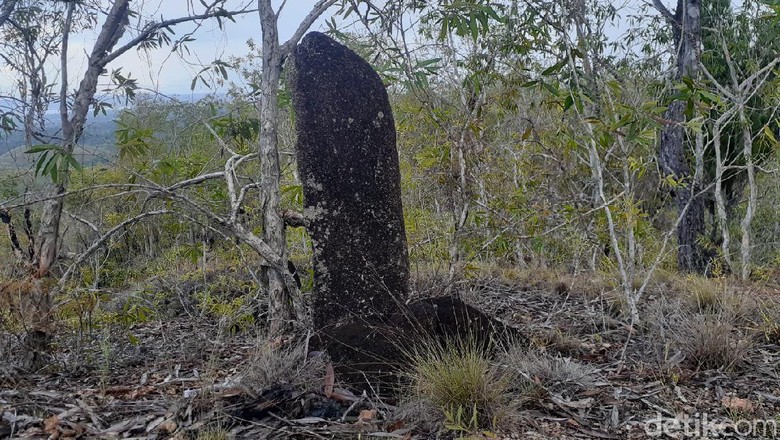Sempat Dibawa ke Jakarta, Menhir Ini Tiba-tiba Hilang & Balik ke Papua. (detik).