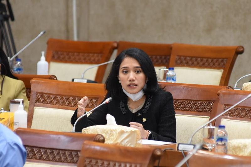 Anggota Komisi XI DPR RI Puteri Komarudin (Foto : Istimewa)