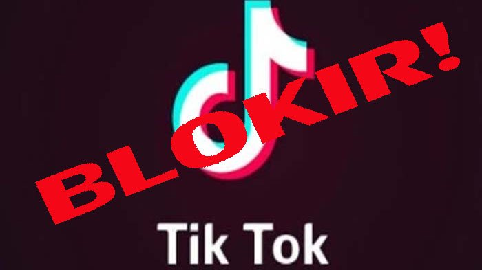 aplikasi tiktok diblokir (tribunnews.com)