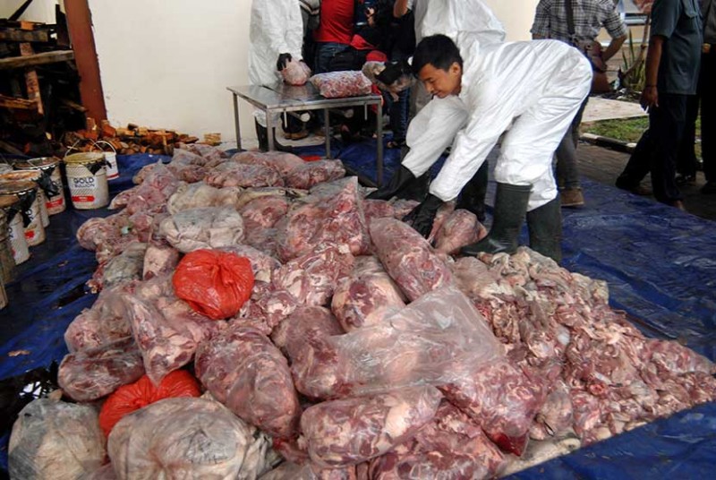 Badan Karantina Pertanian Musnahkan Ribuan Daging Celeng (foto : rri.co.id)