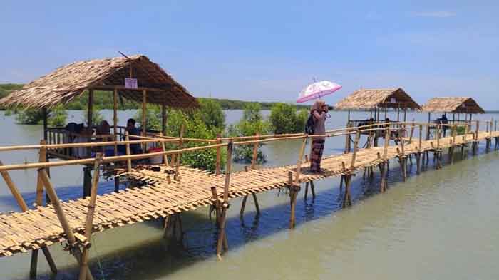 Paling Inspiratif Tempat  Wisata  Di  Purbolinggo  Lampung  